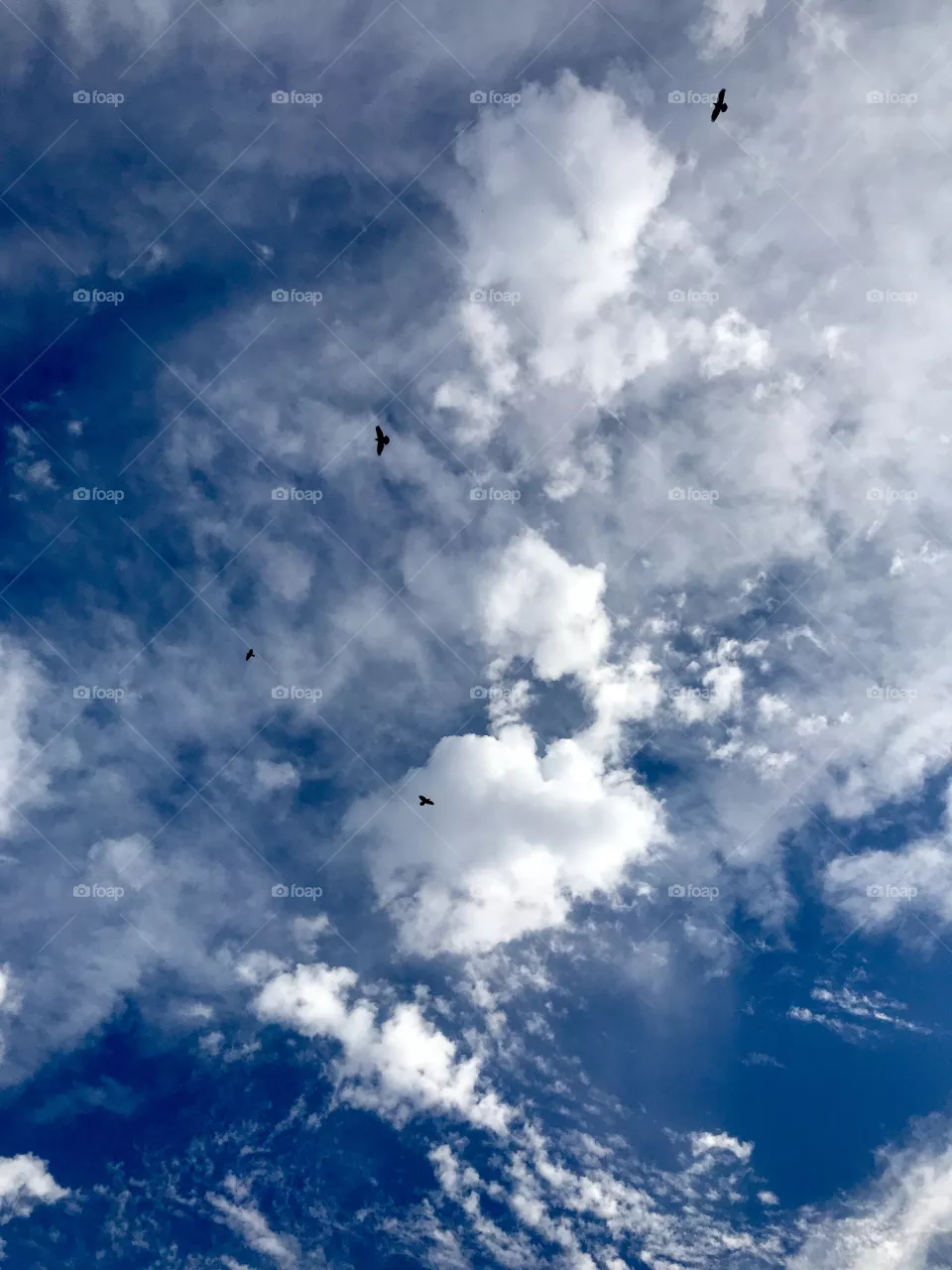Into the Blue
