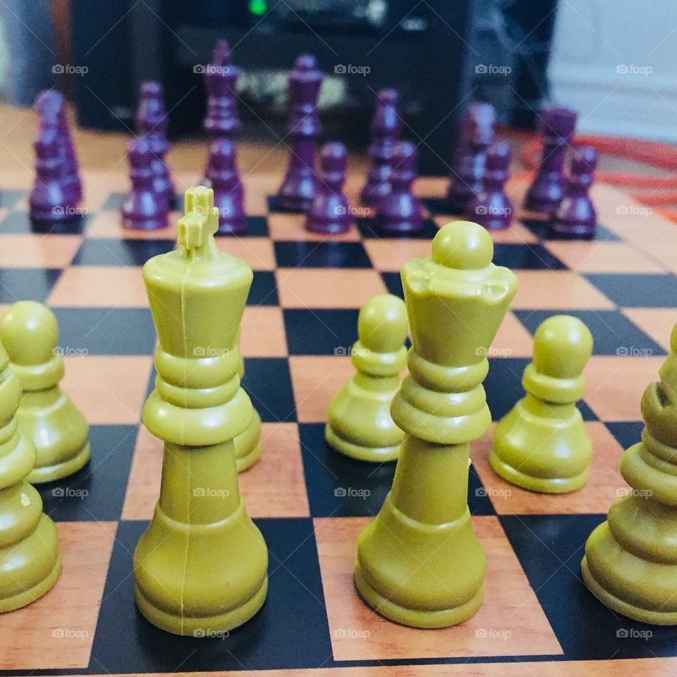 King and queen : the battle of life through chess
