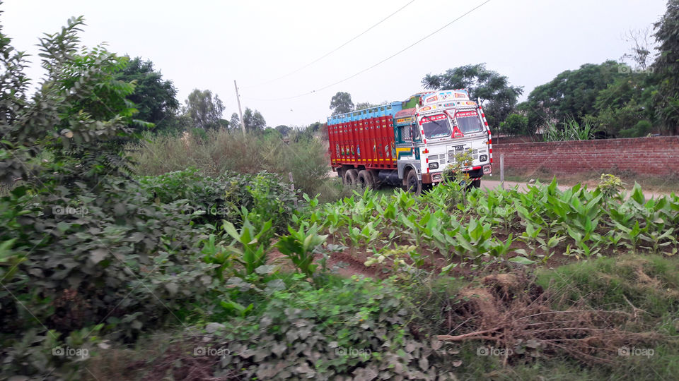 Th colourful truck stands out in the rural background.