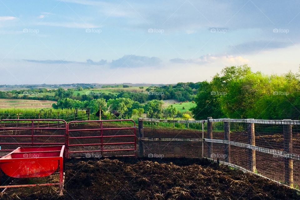 A beautify tree-covered rural landscape beyond a cattle feed lot, enclosed by iron cattle panels, a red feed bin in the foreground 