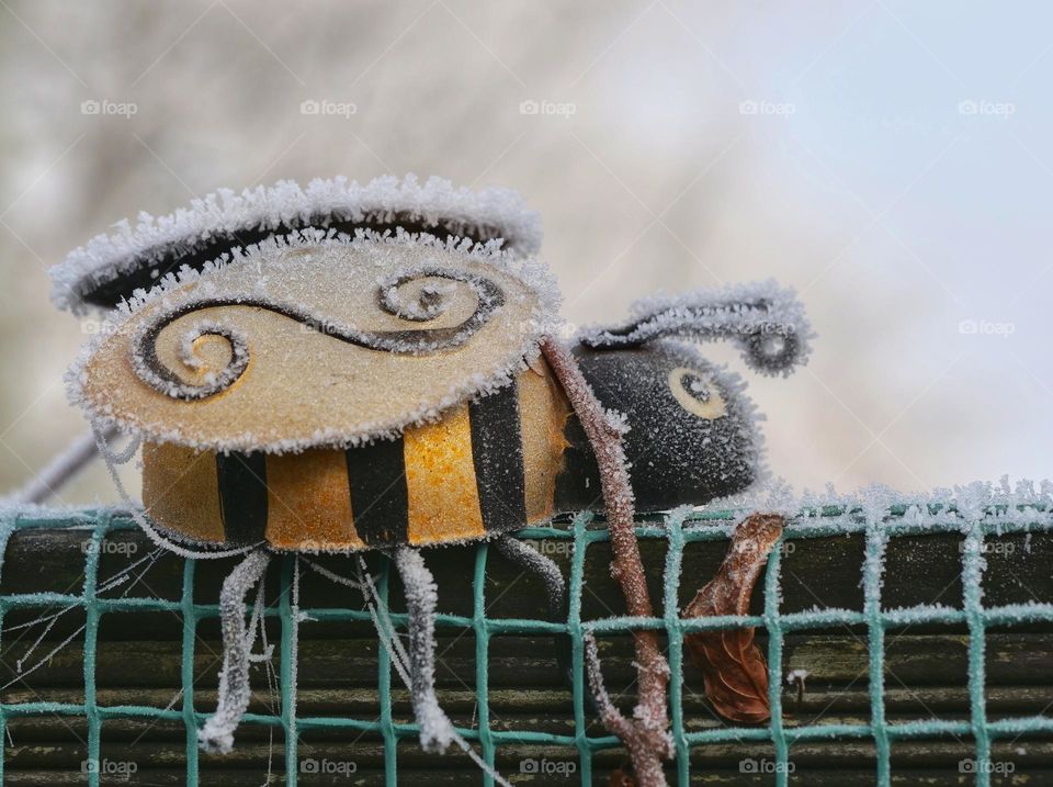 Frozen bee figure