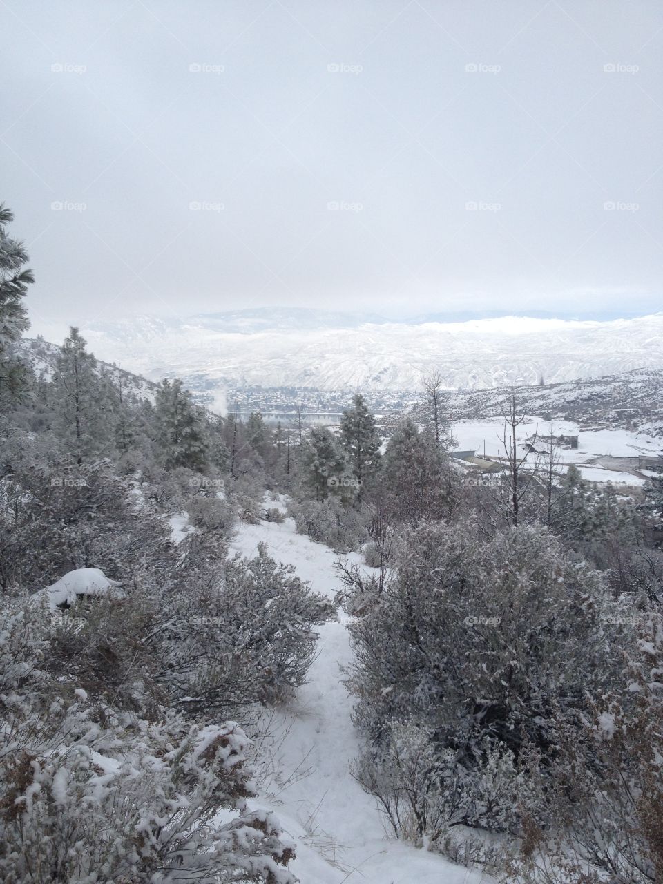 Beautiful scenic mountain view! 