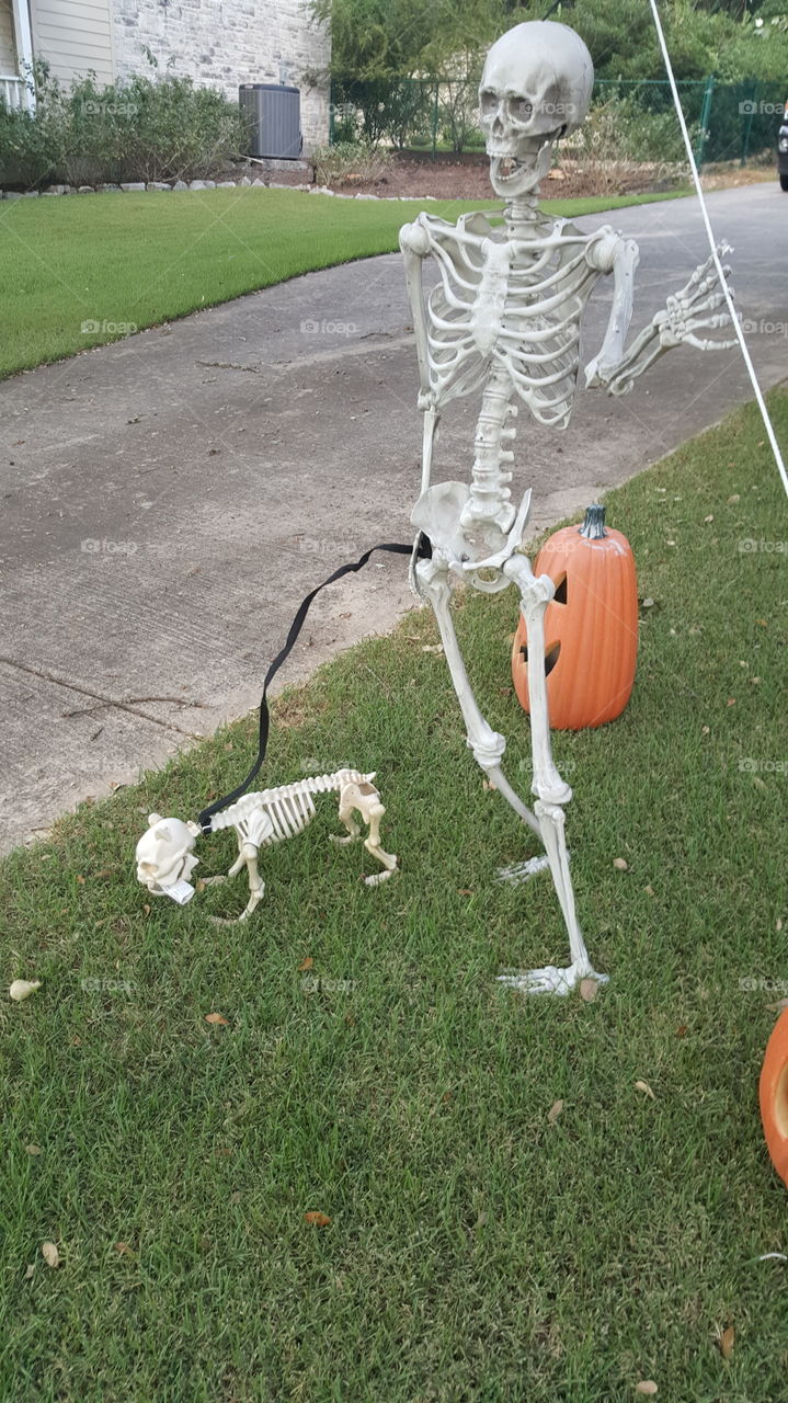 Halloween Decorating