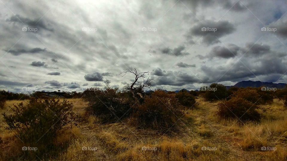 Nature's masterpiece in a desert landscape.