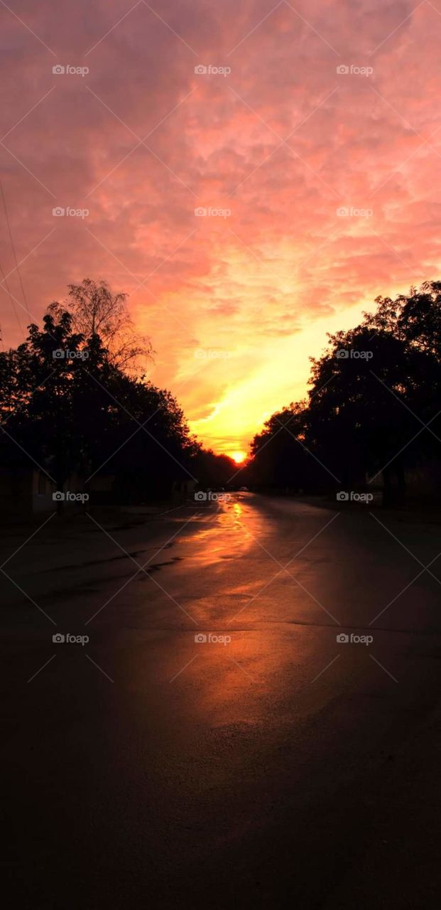 sunset wet road after rain