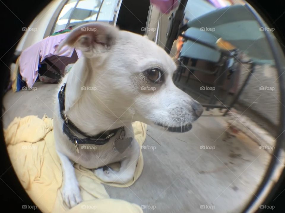 Fisheye lens shot 