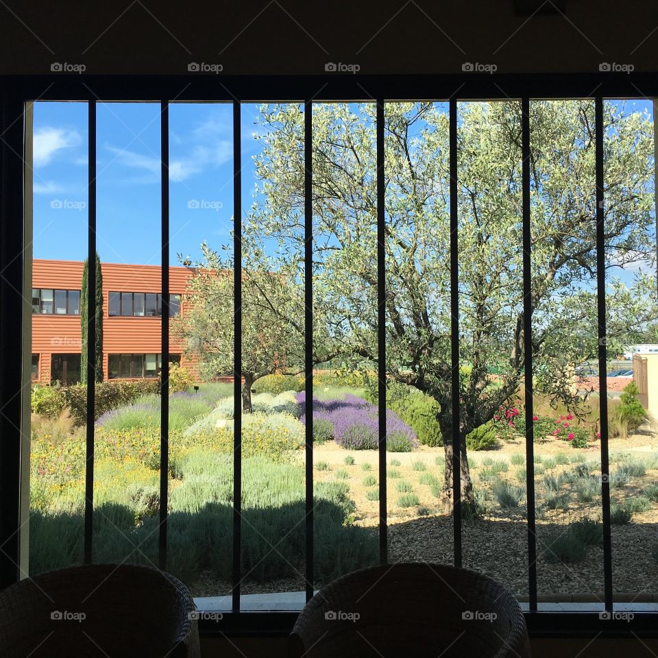 Window Provence