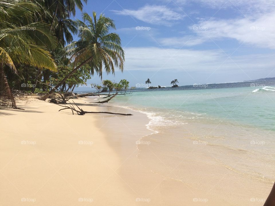 Deserted Beach. Deserted white sand beach in the Caribbean 