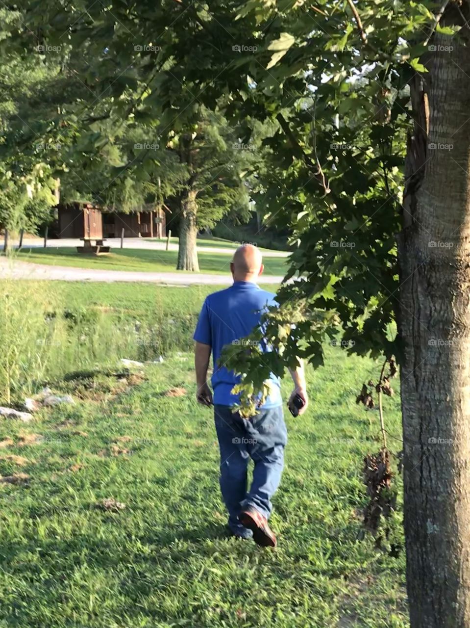 Man walks in the park
