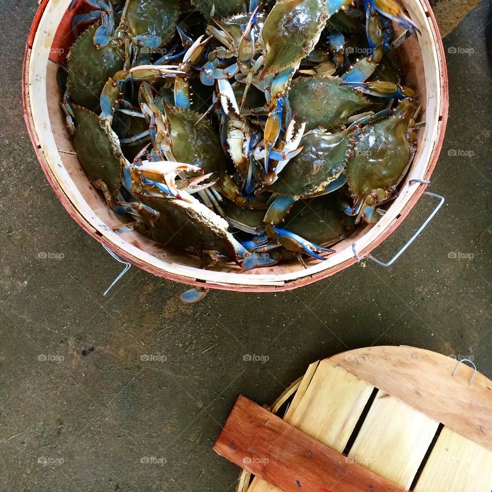 Crab bushel