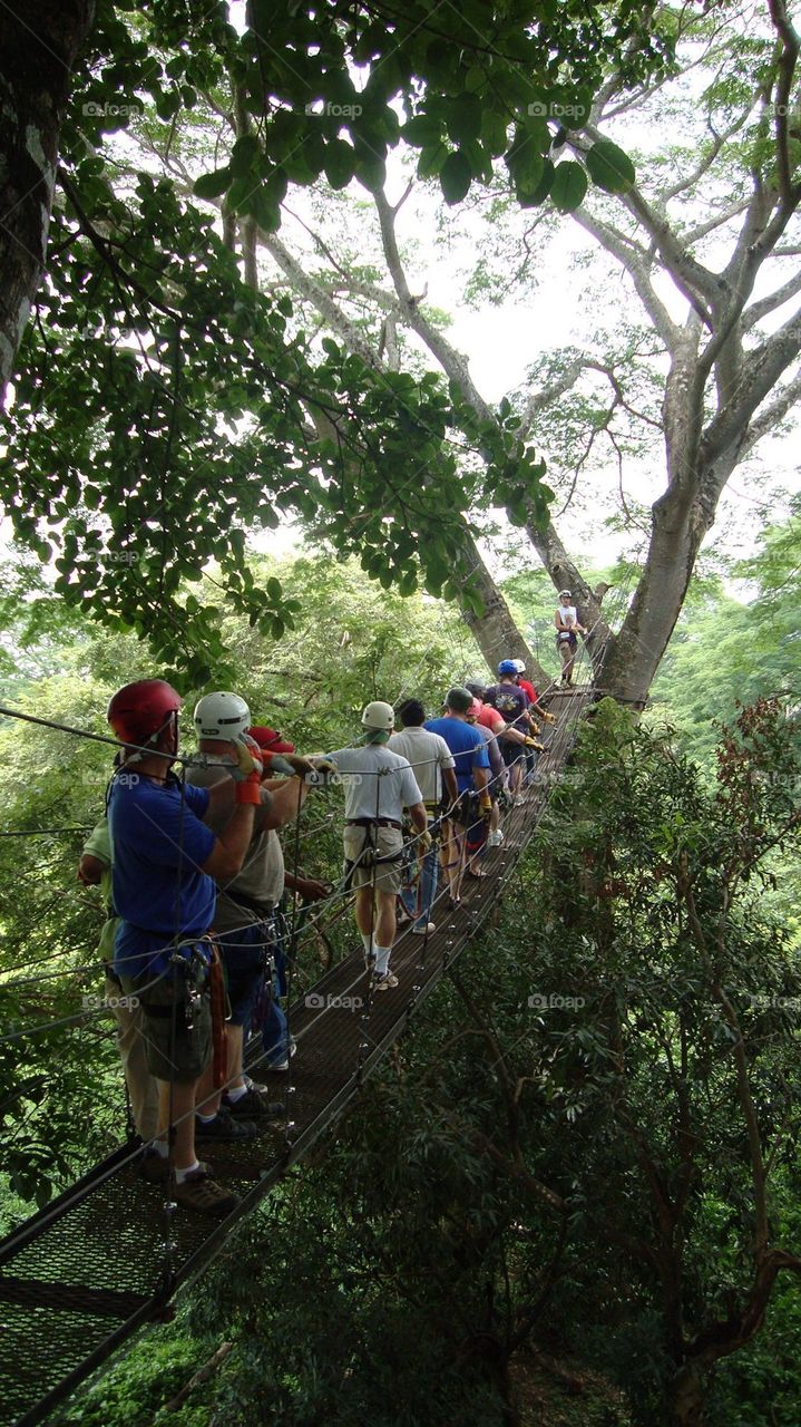 Zip line