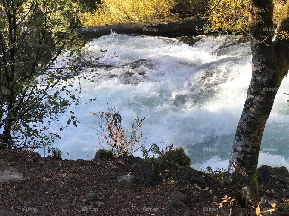 Sun rays reflect off the rushing waters of the McKenzie River in the mountains of Western Oregon on a beautiful fall day. 