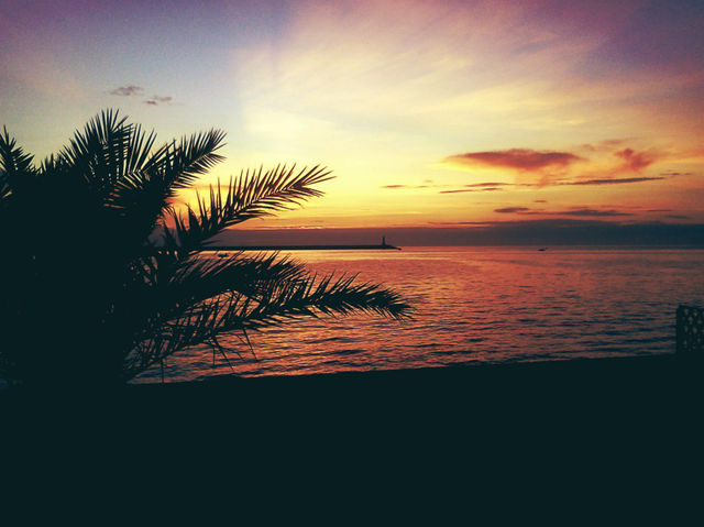 palm tree, lighthouse, sea and sunset