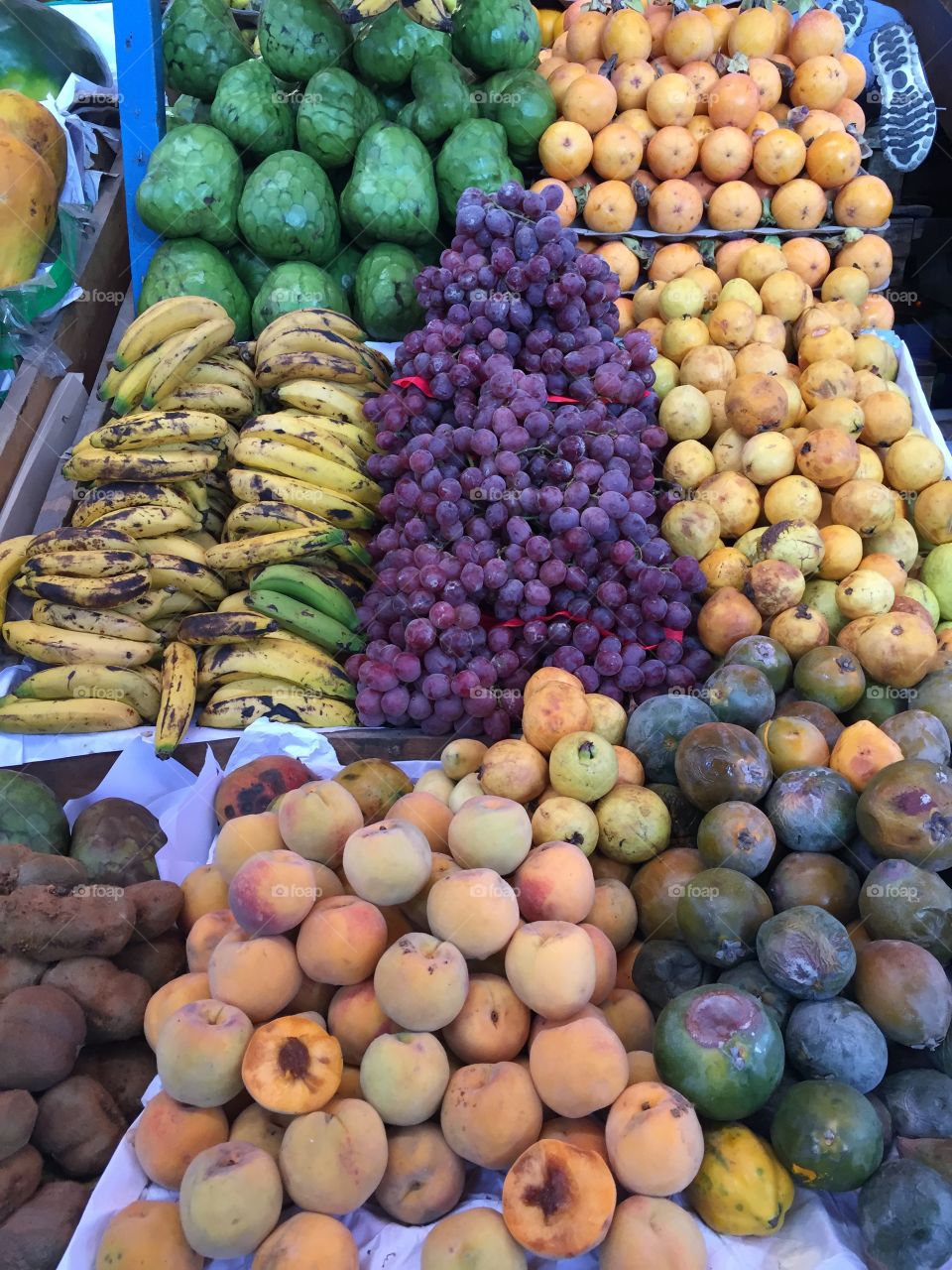 Variety of fruits in market