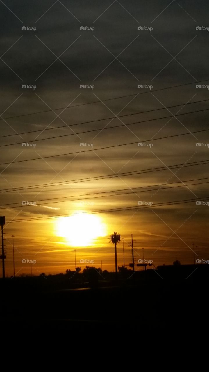 The Golden Sun Setting Down 
With Soft , Ribbon Clouds Complementing , Around .... 
And a few tall Palms in the Background
To bad there are lines hanging around
This picture would have been better
If the lines were not seen , oh , well
Pretty 2 me.