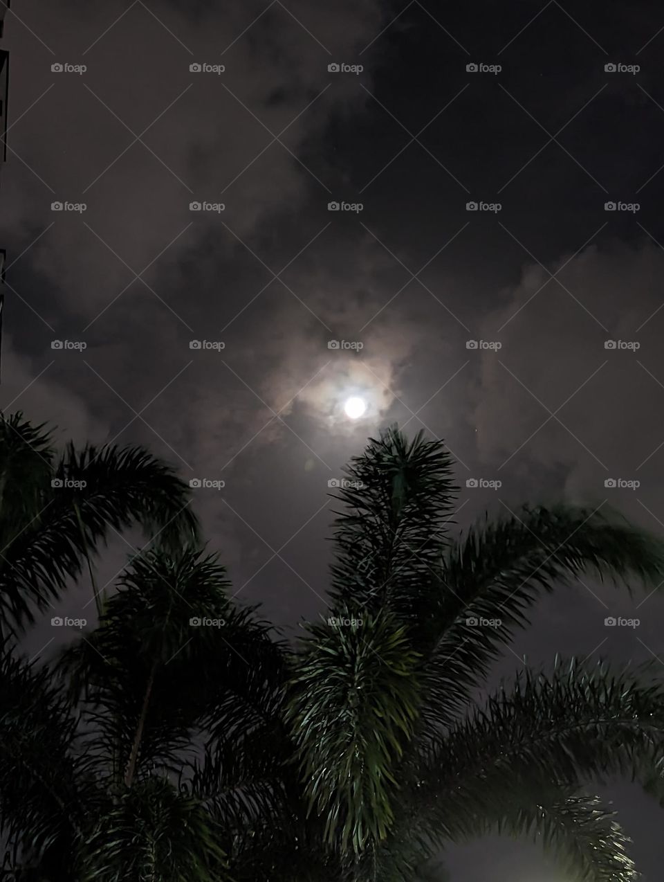 Clouds in night with Full moon