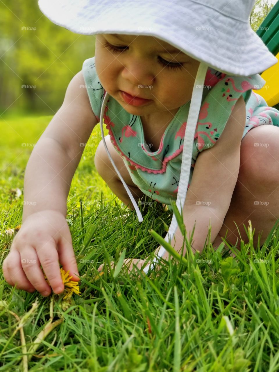 Baby first time out since winter discovering a dandelion