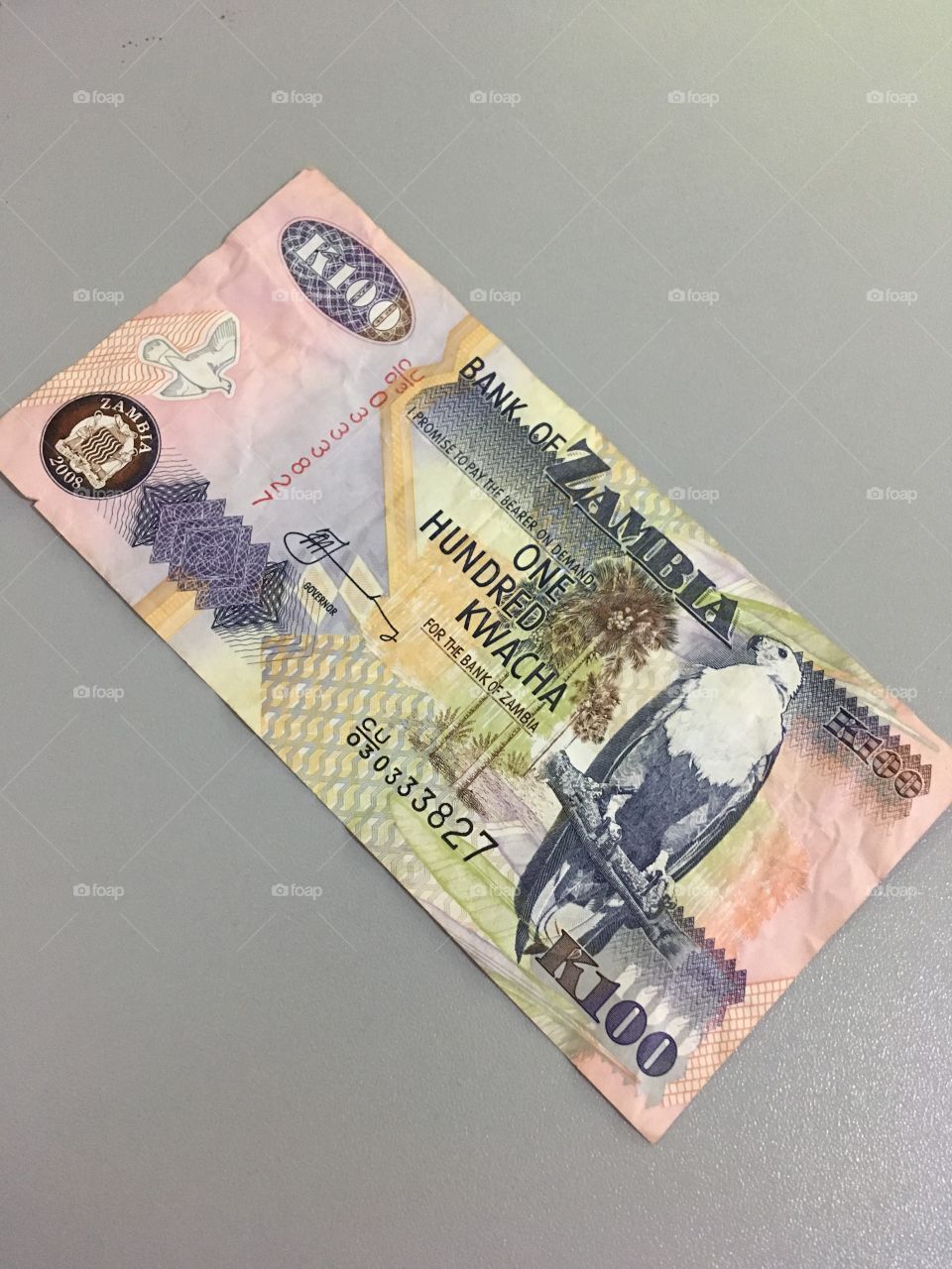 Money zambia one hundred kwacha