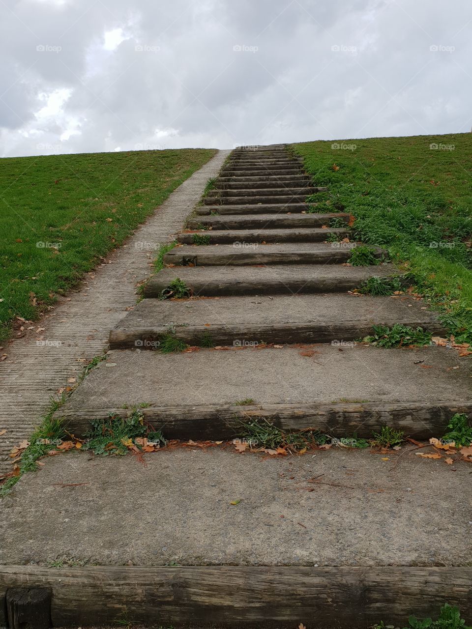 escalier лестница