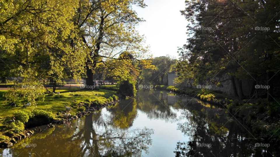 Park in Maastricht