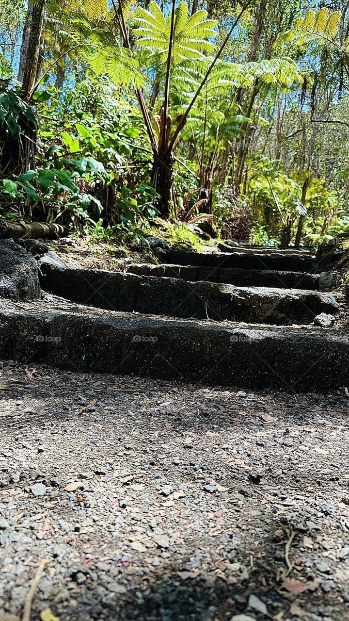 Hawaiian Volcano Trails