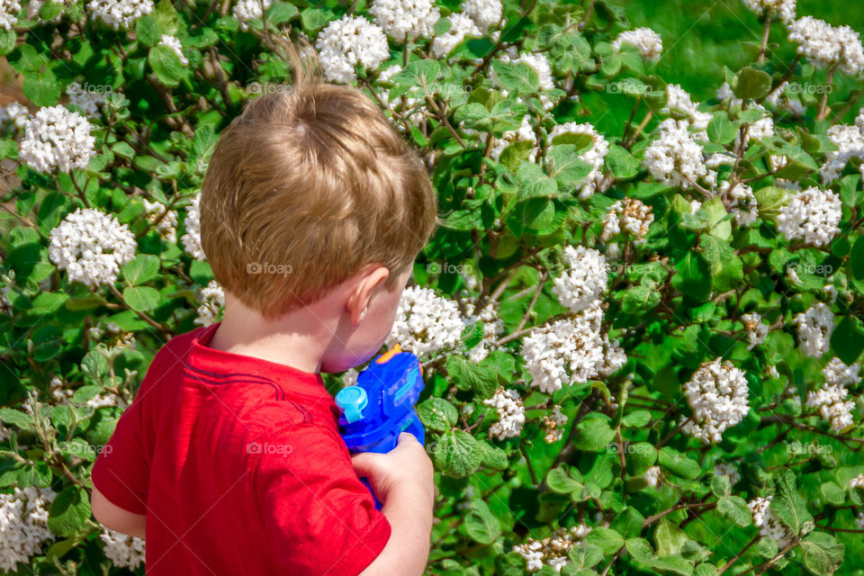 Boy watering flower with water gun