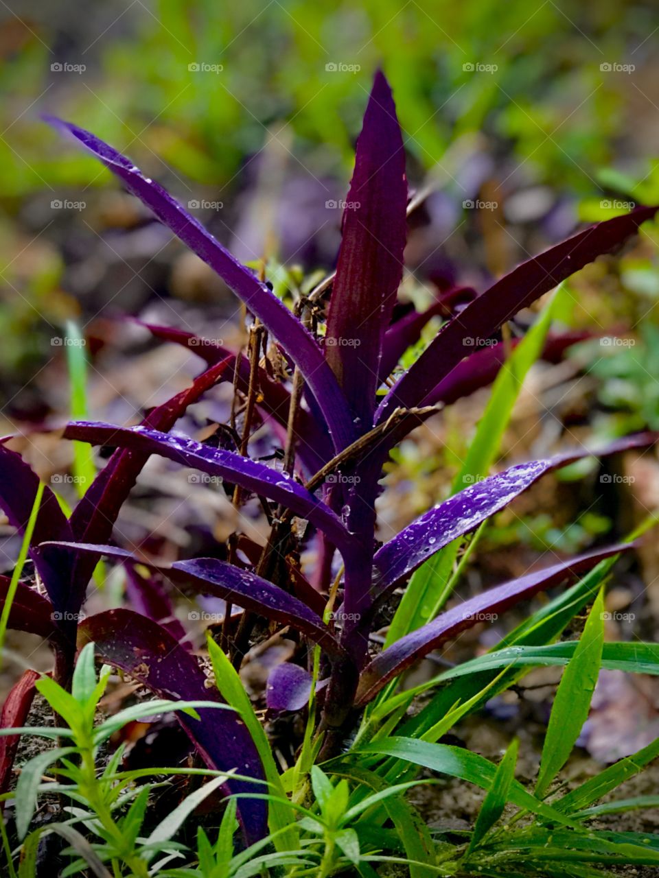 Dare to be different....  