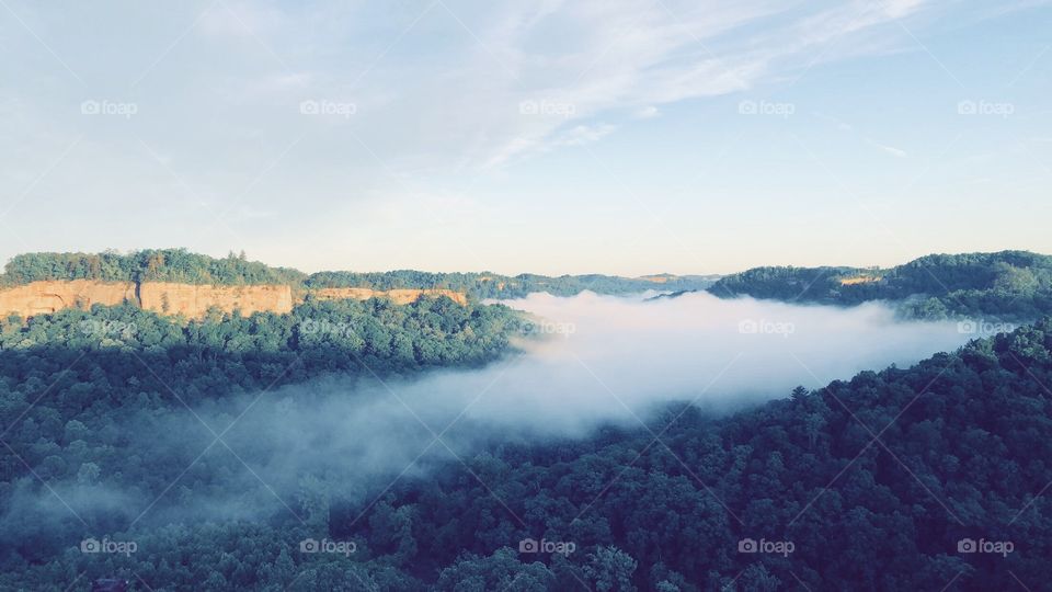 Photo taken at Red River Gorge in Kentucky. Captures an early morning fog and sunrise after a short hike to the summit.