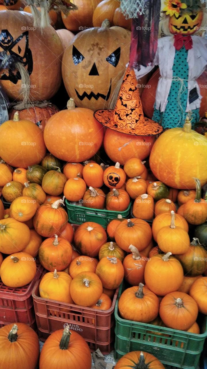 looking for the perfect one