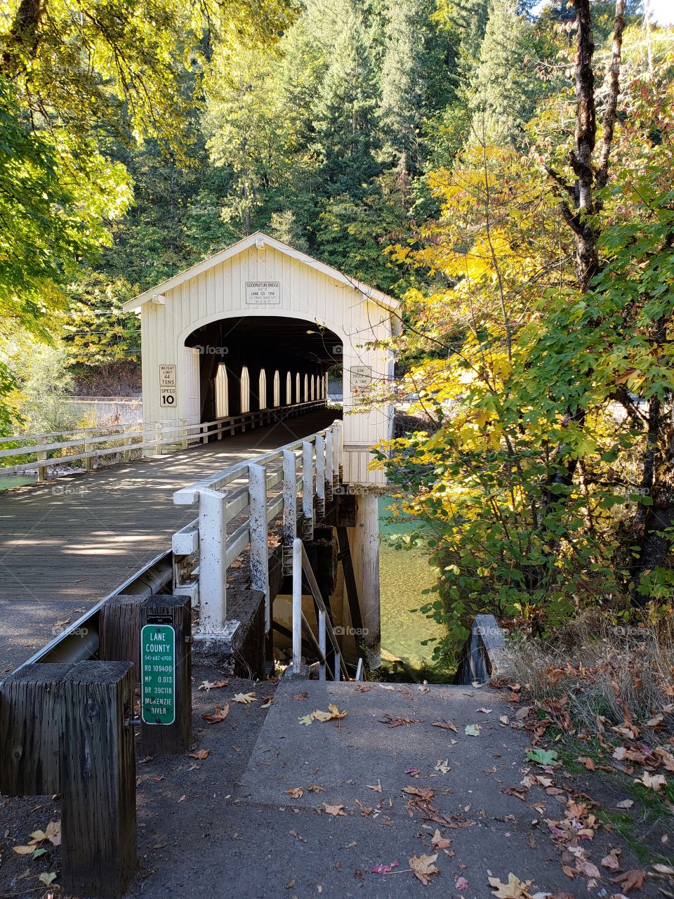 The old covered Goodpasture Bridge built in 1938 near Vida in Western Oregon on a sunny autumn day with lots of fall color around it.