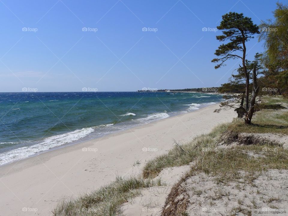 landscape beach ocean sky by jonashallstrom