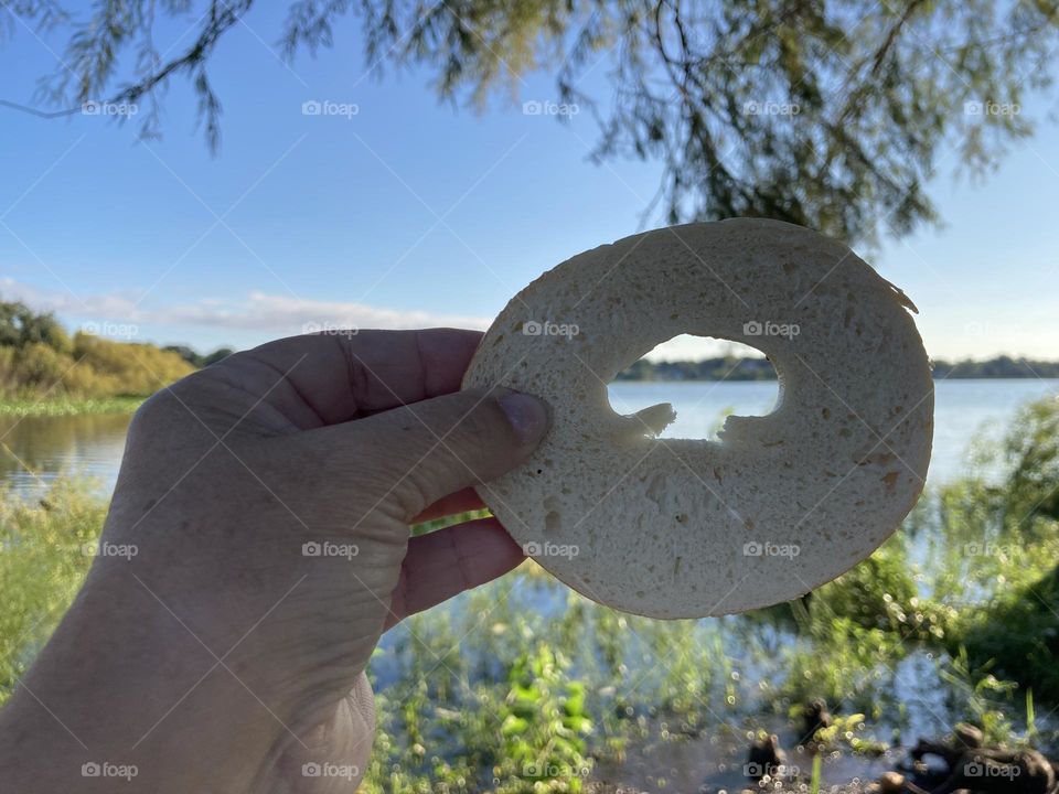 Mushroom shape in bagel