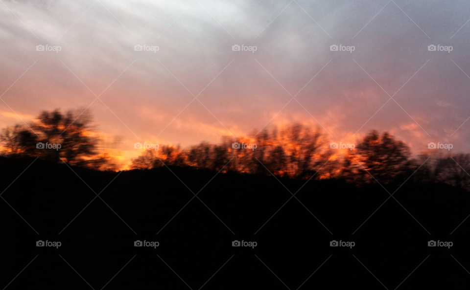Sky Ablaze. Sunset viewed through the trees