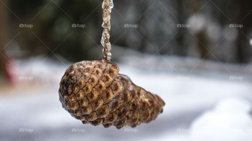 frozen cone