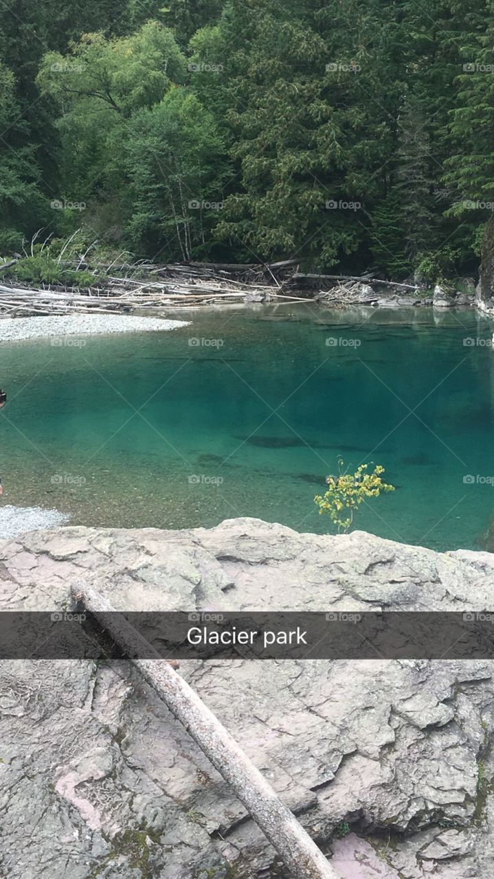 Glacier park Montana
