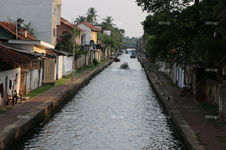hamilton canal negombo