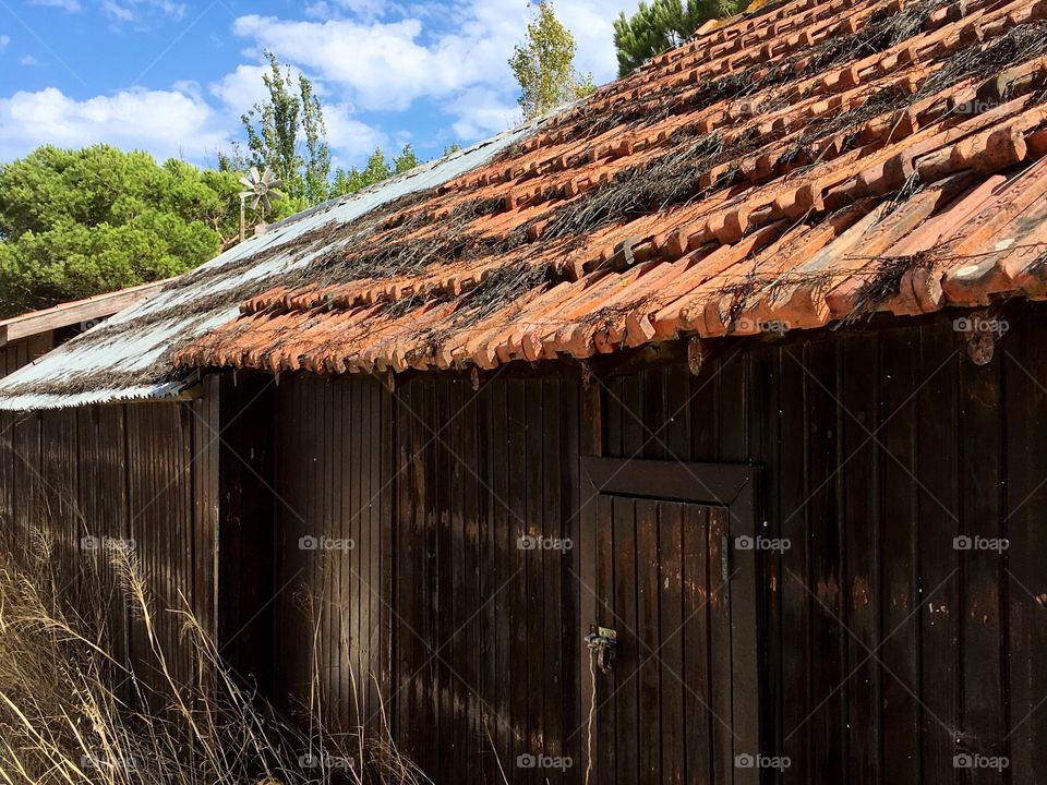 Barn 