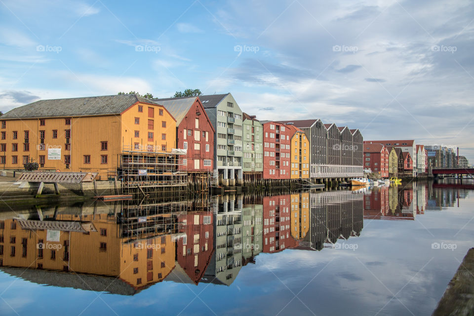 River reflections 