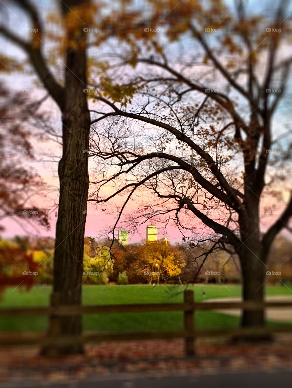 Fall sunset at Boston park. 