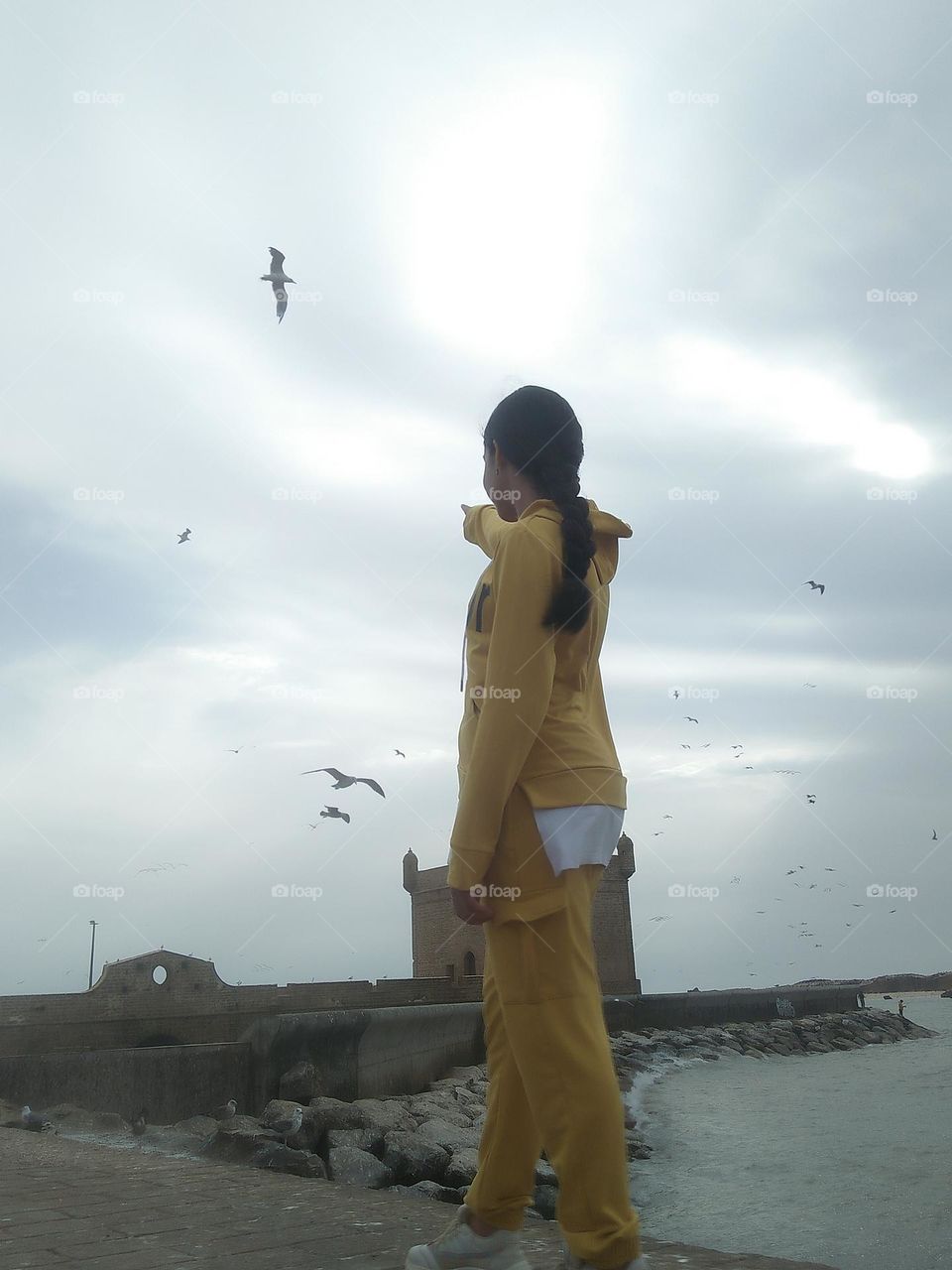 A young girl looking at a group of seagulls at essaouira city in morocco.