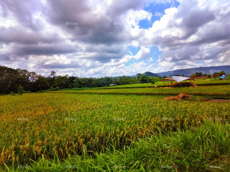 Show us your best photos