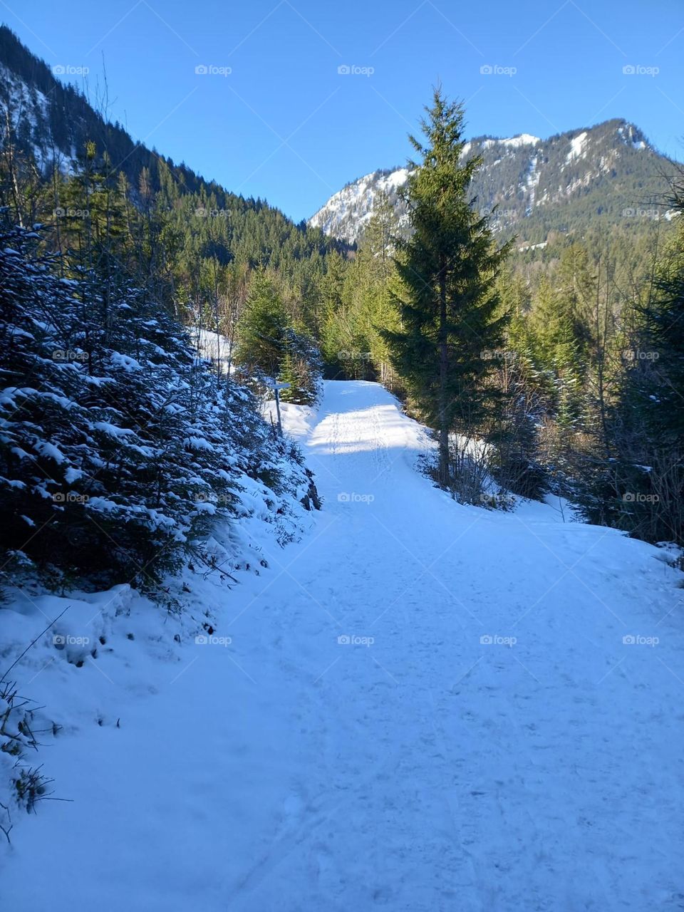 Mountain Trail in the Snow