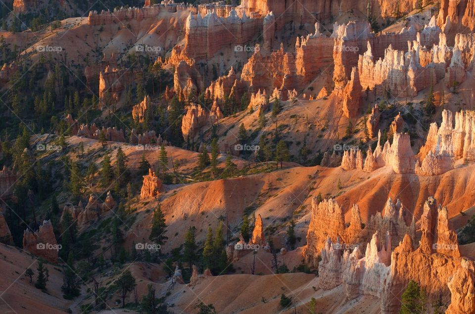 Bryce Canyon showing Summer Vibes 