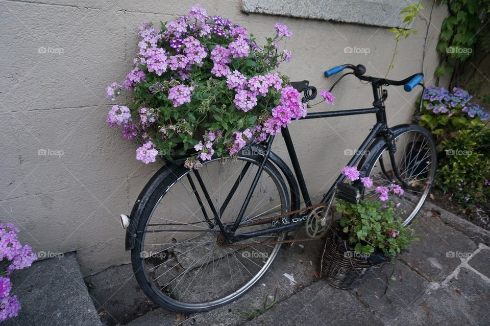 Flowers on the back