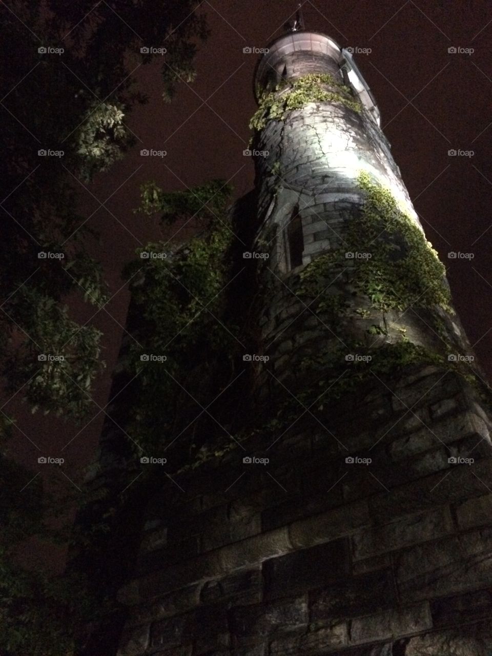 Central Park castle at night 