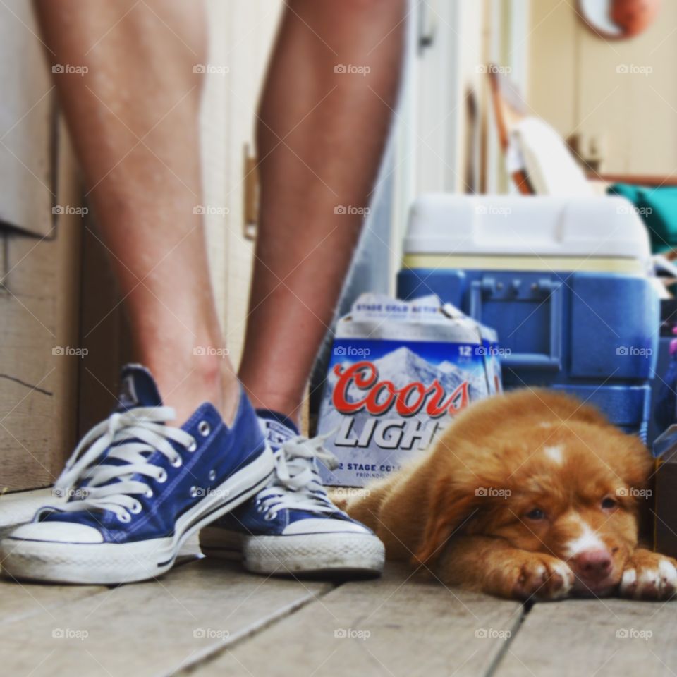 Converse or Coors