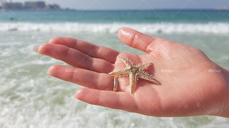 Beach, Water, Tropical, Sea, Summer