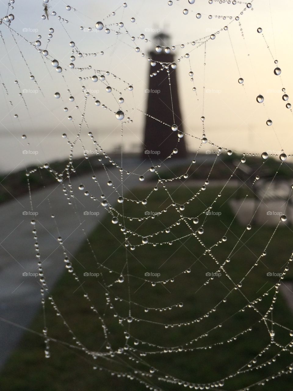 It seems that the spider wanted to catch a lighthouse in its web. That's how it looks on this side of it. But unfortunatelly it got flooded. 