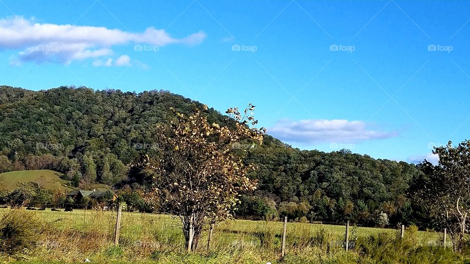 Photo of some Virginia Mountains on the way to Apple Harvest Festival!