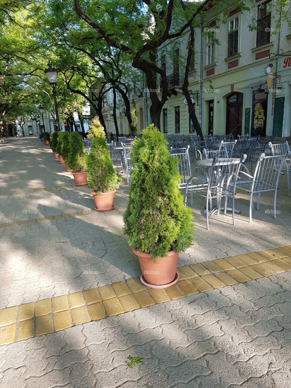 restaurant terrace with empty iron tables and chairs